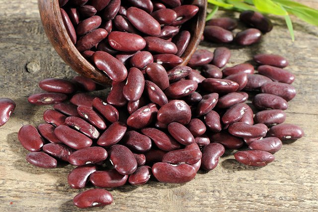Ученые объяснили, почему нужно есть фасоль каждый день