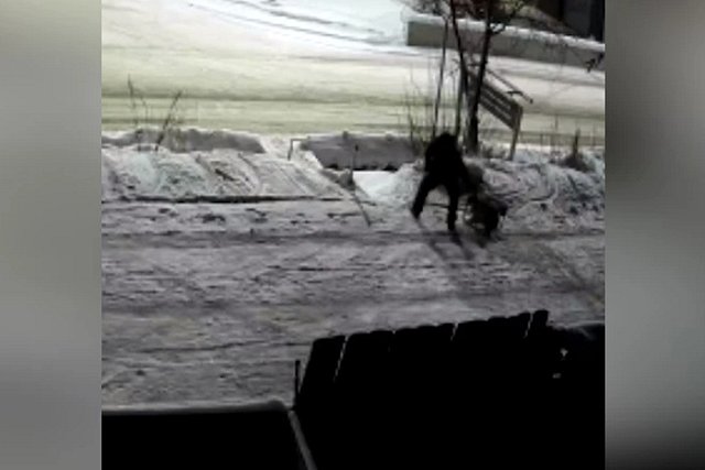 В Екатеринбурге появился бензогенераторный вор