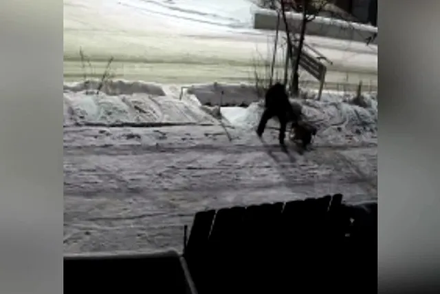 В Екатеринбурге появился бензогенераторный вор