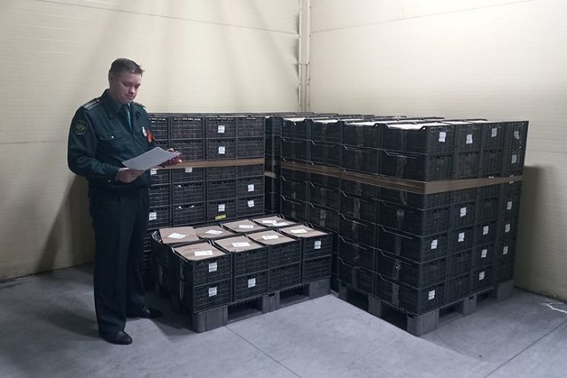 В Екатеринбург приехали абрикосы из Турции