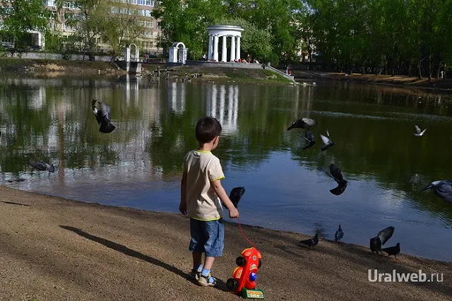 В Харитоновском парке появится лодочная станция, грот и новая беседка
