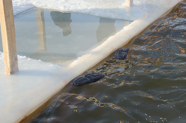 Песков объяснил попадание крещенского купания Путина на видео