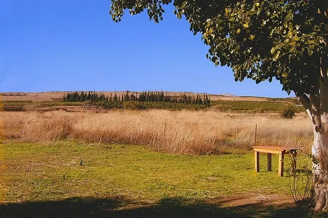 Сильная жара в Канаде унесла жизни уже 17 человек