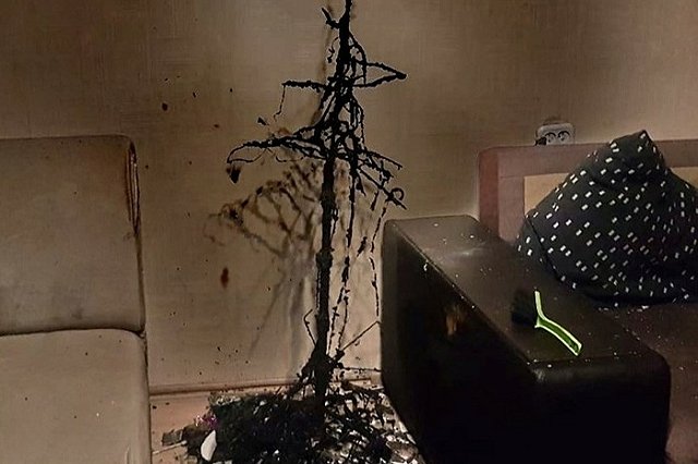 В Нижнем Тагиле в одной из квартир полностью сгорела ёлка