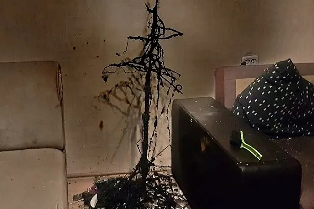 В Нижнем Тагиле в одной из квартир полностью сгорела ёлка
