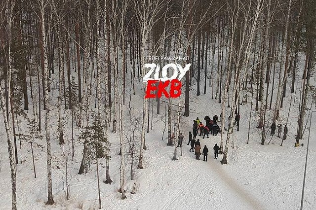 В Академическом вырубают берёзовую рощу