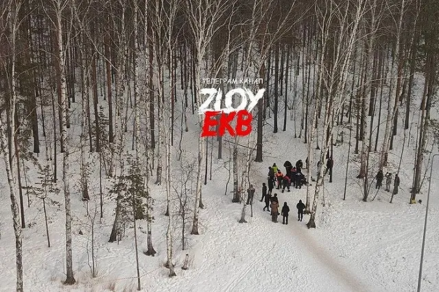 В Академическом вырубают берёзовую рощу