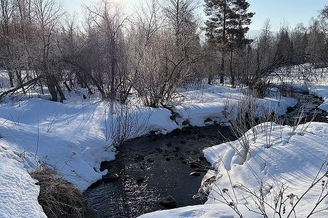 Несколько городов Свердловской области могут быть подтоплены весной