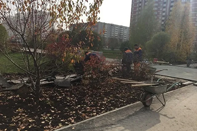 У «Дирижабля» вопреки заключению градсовета началась реконструкция парка