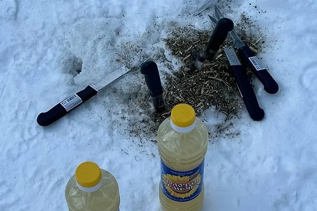 Разбрасывает трупы животных и ножи: жители Ревды пожаловались на «знахаря»