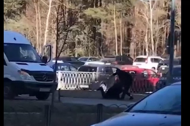 Появилось видео драки, где водитель бросился на пешехода с монтировкой