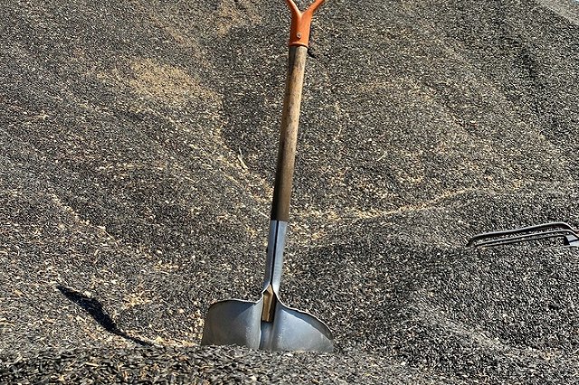 В свердловском городе заживо закопали рабочего. Он умер в больнице