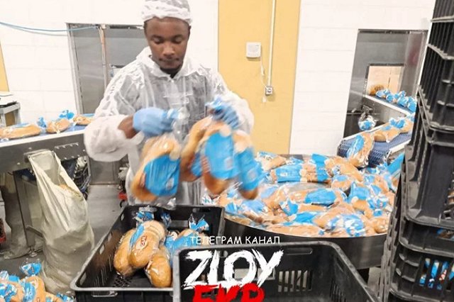 СМИ: ФСБ раскрыла схему устройства мигрантов на екатеринбургский хлебозавод