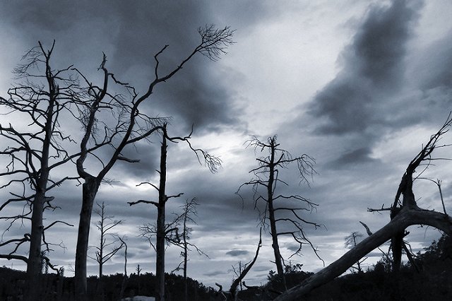 Второклассницу в Златоусте насиловали двое подростков