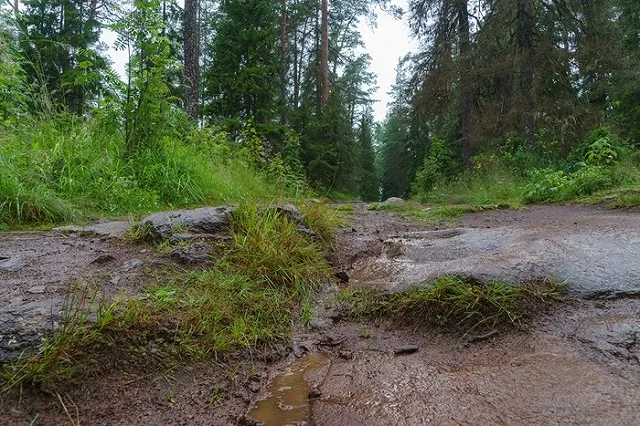 Прокуратура заставила главу Карелии решать проблему детсада в поселке Суоеки