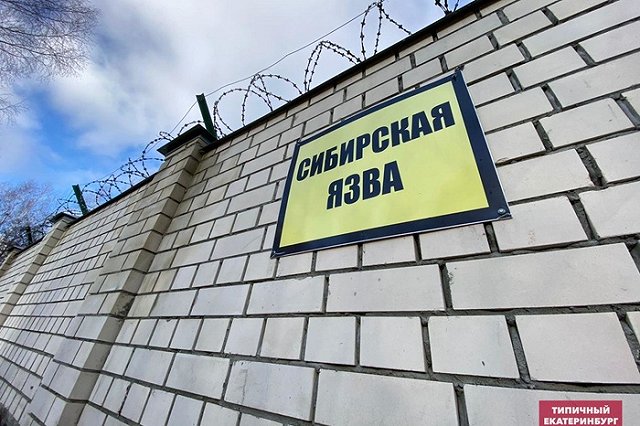 В Екатеринбурге хотят построить коттеджный поселок рядом со скотомогильником