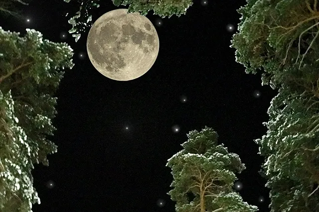 В воскресенье в небе над Уралом можно будет наблюдать суперлуние