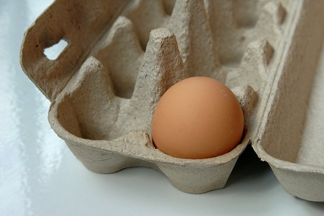 Немецкие СМИ: Историю про девять яиц придумали англичане