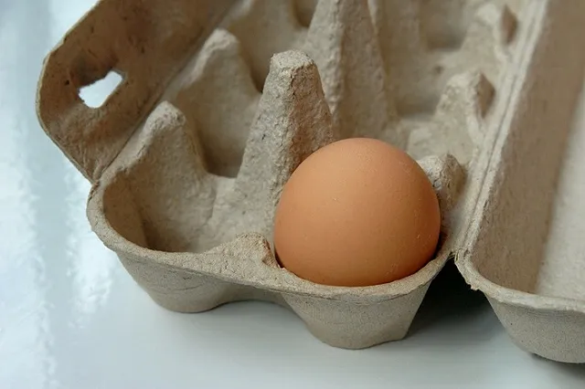 Немецкие СМИ: Историю про девять яиц придумали англичане