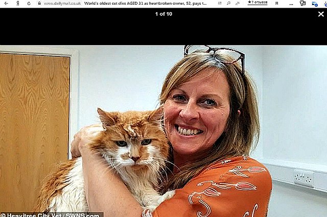 В Англии умер самый старый кот в мире