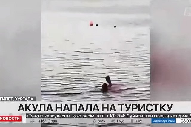 В Египте 68-летняя туристка погибла после нападения акулы