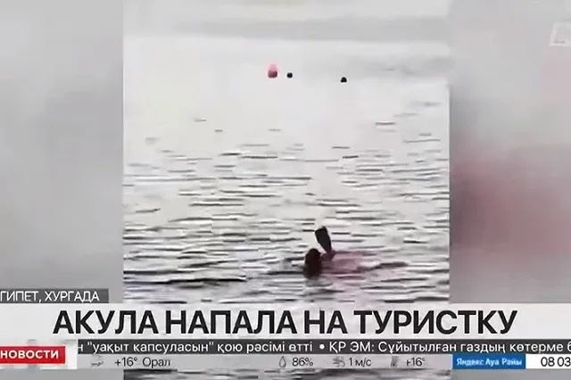 В Египте 68-летняя туристка погибла после нападения акулы