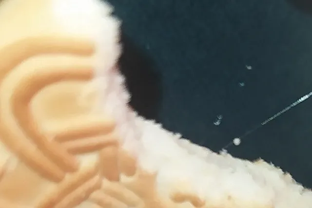 Екатеринбурженка заявила, что ей попался волос в фабричном печенье