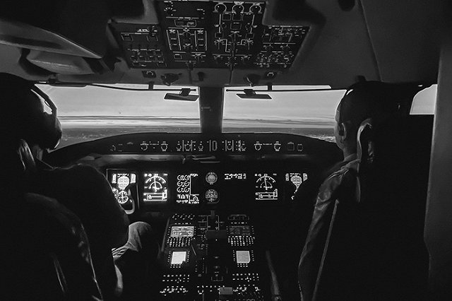 Самолет «Уральских авиалиний» столкнулся с птицей