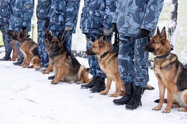 Осужденных, сбежавших из исправительного центра в Нижнем Тагиле, задержали
