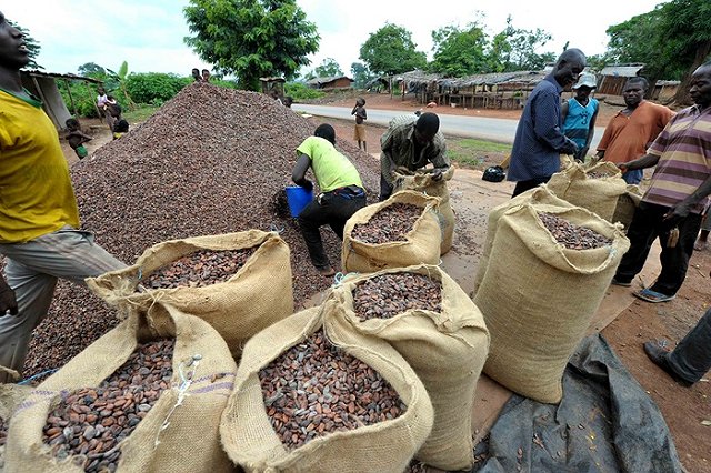 Производитель какао-продуктов Transmar открывает завод в России