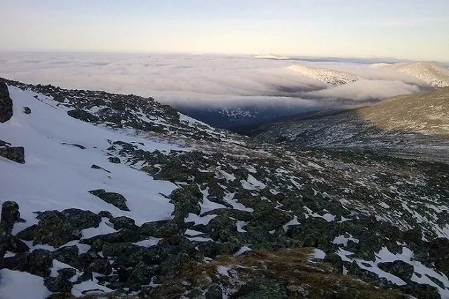 На Урале на легкоатлетическом марафоне при взрыве пострадал волонтер