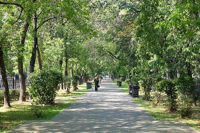 Мэрия Екатеринбурга довольна тем, как выглядит проспект Ленина