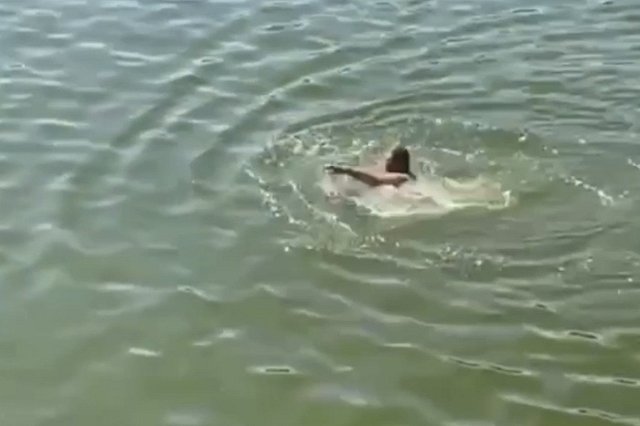 Екатеринбуржцы открыли купальный сезон прямо в центре города