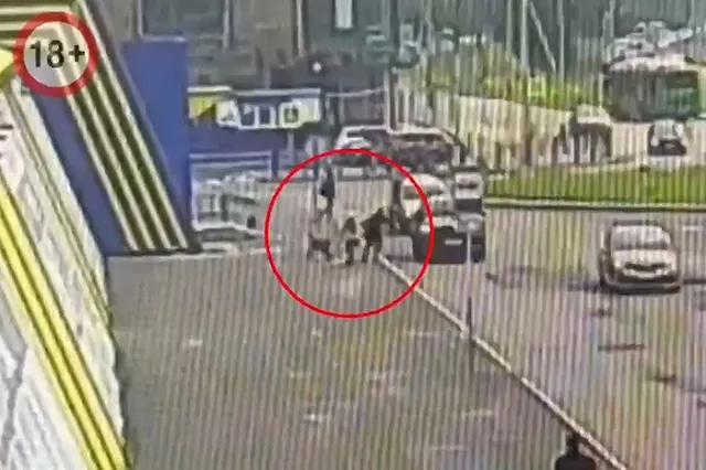 В Екатеринбурге 12-летний мальчик попал под машину, убегая от агрессивной собаки — видео