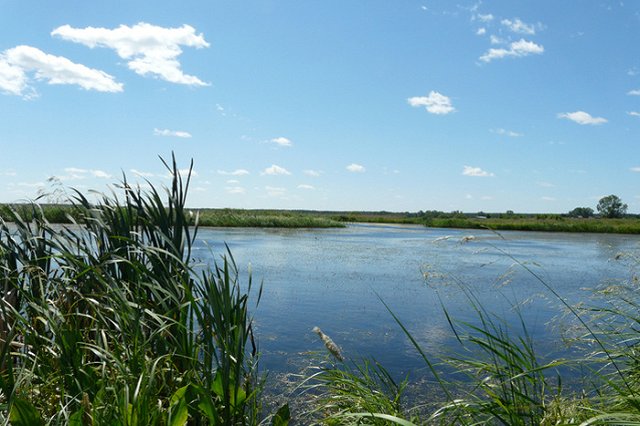 В Реже второй день ищут 7-летнего мальчика — он ушел купаться и пропал