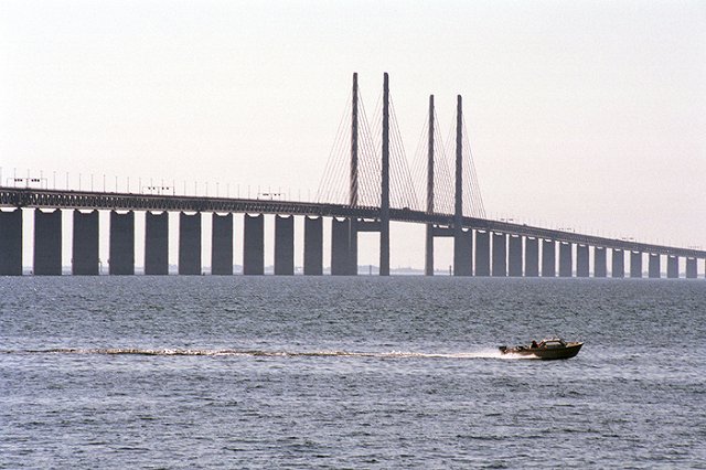 Шведский политик предложила расстреливать беженцев из пулемета