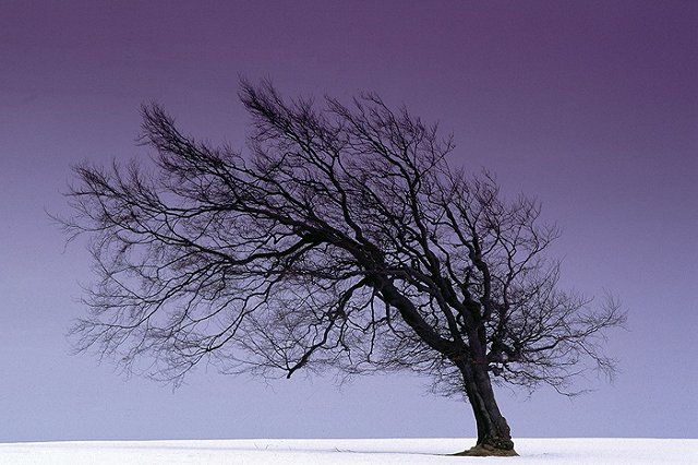 В Пышминском районе влюбленные подростки отравились таблетками