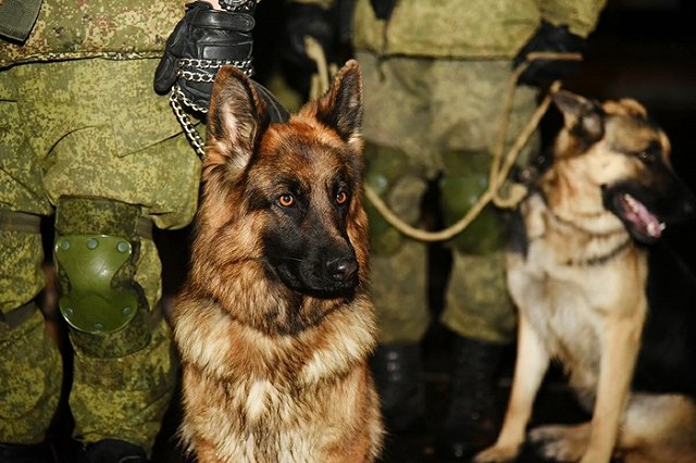 Российских военных лишат смартфонов