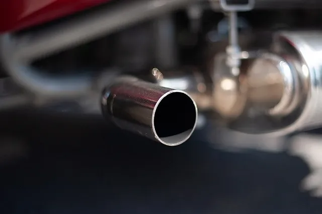 Установлена причина смерти семьи с детьми на турбазе в Алтайском крае