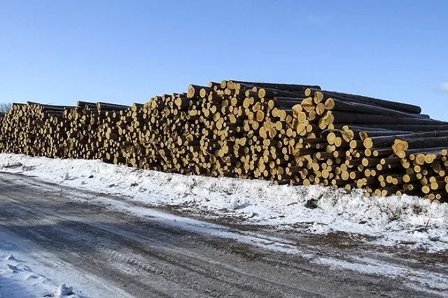 Под Нижним Тагилом на заготовке леса погиб мужчина