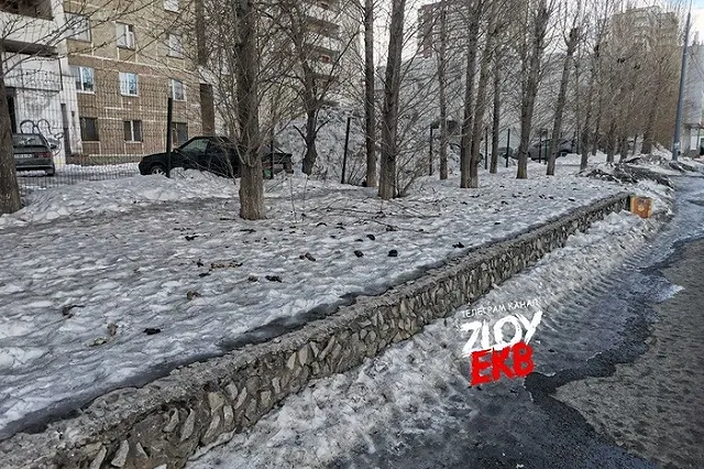 Екатеринбуржцы признались, что им стало трудно ходить по улицам из-за рвотных позывов