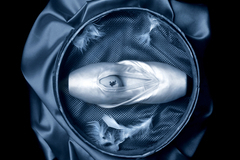 Балерина пожаловалась на вымогательство в Большом театре