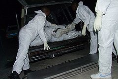 Авиакатастрофа в Намибии произошла по воле командира экипажа