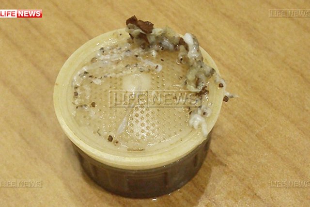 На Урале из водопроводных кранов течёт вода с червями