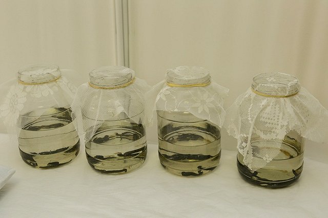 В детском лагере «Зеленый мыс» в Новоуральске найдены десятки нарушений