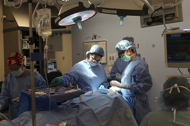 Медики Екатеринбурга пересадили пациентке ее собственную почку