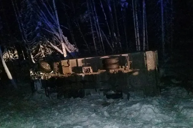 В Иркутской области два верблюда попали в ДТП, один из них погиб