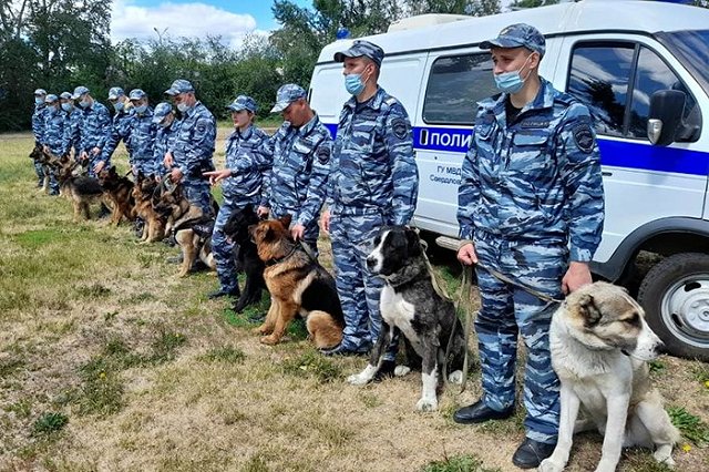 Свердловские кинологи показали, как их питомцы задерживают преступников и ищут взрывчатку