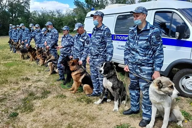 Свердловские кинологи показали, как их питомцы задерживают преступников и ищут взрывчатку