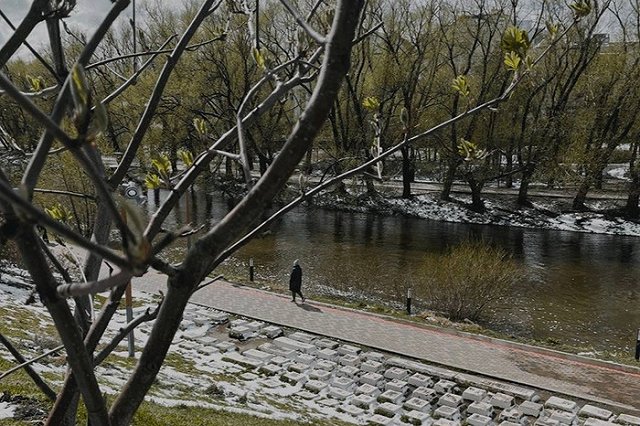 В Госдуме предложили сделать майские выходные непрерывными